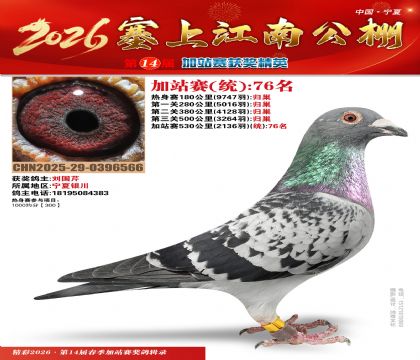 塞上江南加站赛统76名