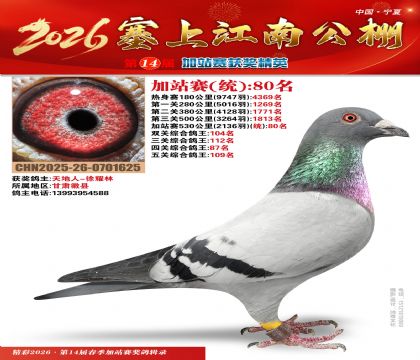 塞上江南加站赛统80名