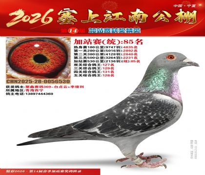 塞上江南加站赛统85名