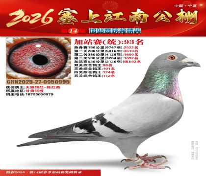 塞上江南加站赛统93名