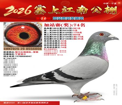 塞上江南加站赛统95名