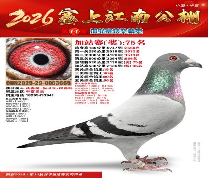 塞上江南加站赛统96名