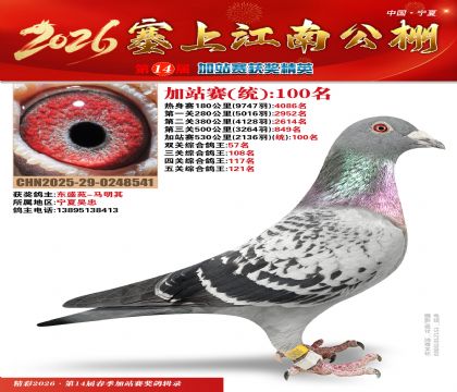 塞上江南加站赛统100名