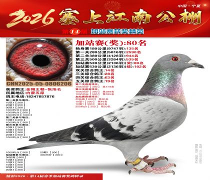 塞上江南加站赛统102名