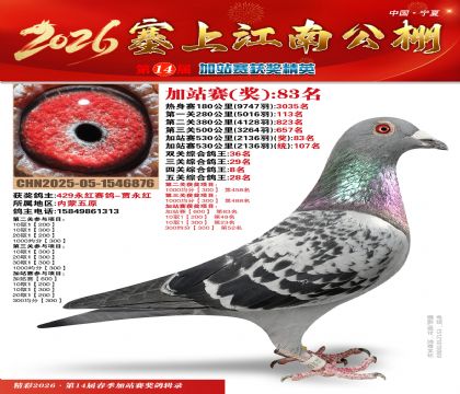 塞上江南加站赛统107名