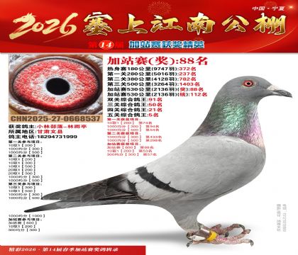 塞上江南加站赛统112名