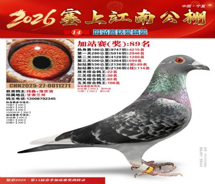 塞上江南加站赛统114名