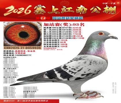 塞上江南加站赛统119名