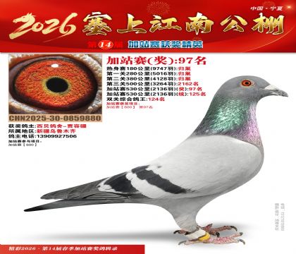 塞上江南加站赛统125名