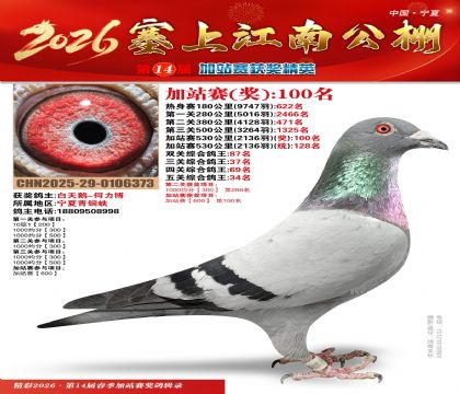 塞上江南加站赛统128名