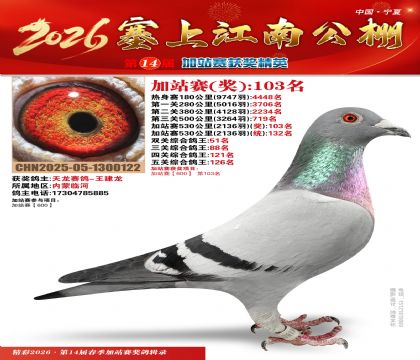 塞上江南加站赛统132名