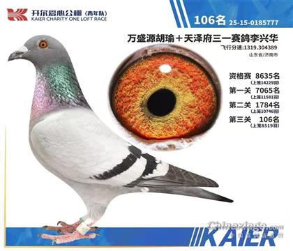 同母异父