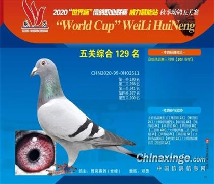 平辈作育