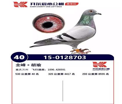 同父异母