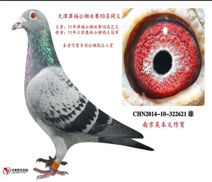 父亲