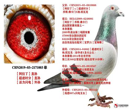 父亲