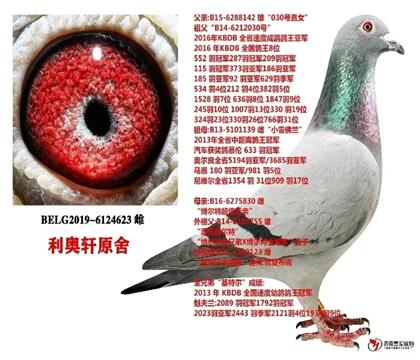 外祖母