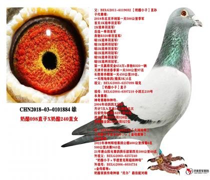 父亲