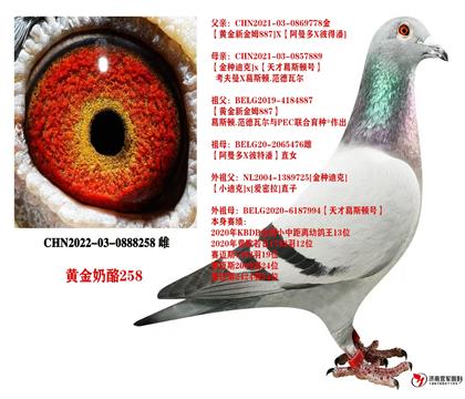 母亲