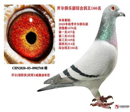 母亲