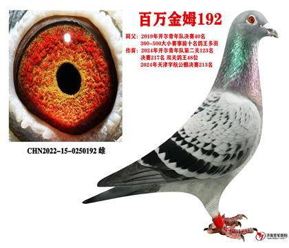 同父