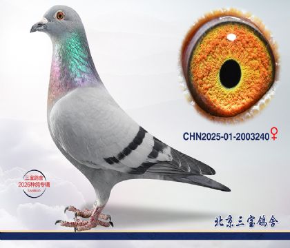 3.速霸龙近血.2003240