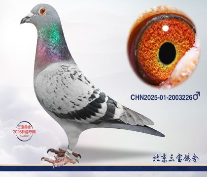 5.超霸x奶酪.2003226