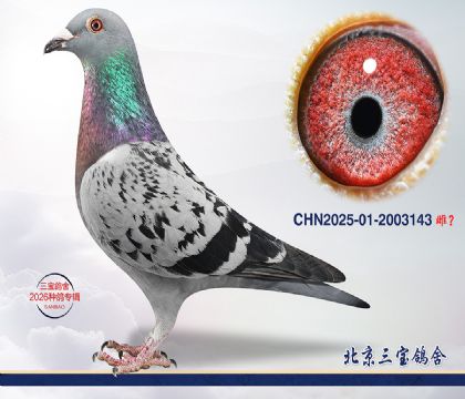 7.长城二号x超霸.2003143