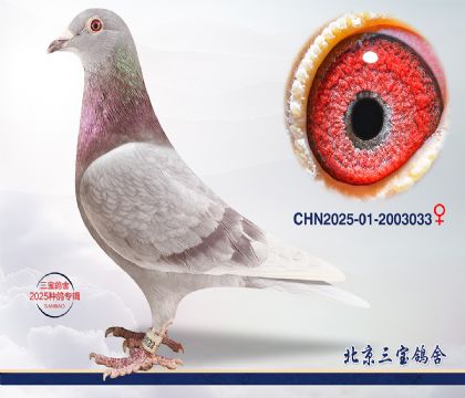 14.超霸近血q.2003033