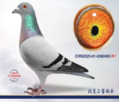 1.利奥x奶酪.0360483