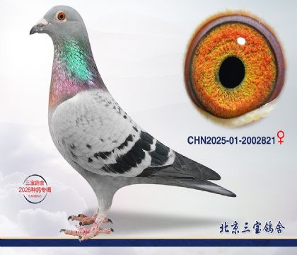 3.奶酪x利奥.2002821