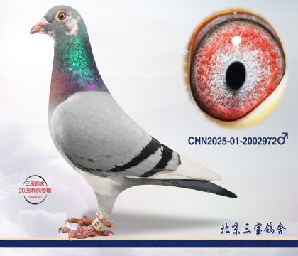 9.超霸近血.2002972