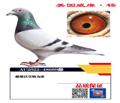 公棚冠军直孙48689