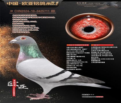 电脑戈马利777X625