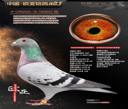 佛卡门原舍211X077