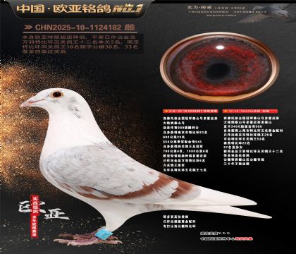 西佛依托全国冠军泰山号多重近亲481X256