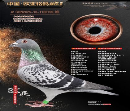 佛科克原舍015X748