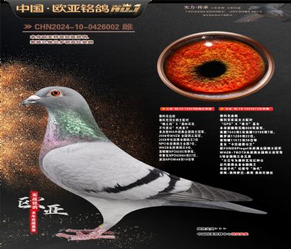 佛科克原舍“不可思议”788X“希卡”672