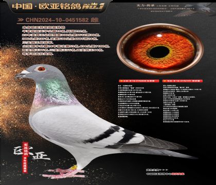 盖比原舍鲁迪直子030X“薇尔玛”新弗雷迪191