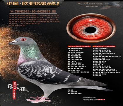 利奥506X杨713直子757X利奥851X818直女697