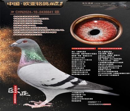 盖比原舍超级罗密欧直子727X猎鹰号127