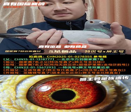 《北京国家赛7名近亲直女》特优号x狮王号