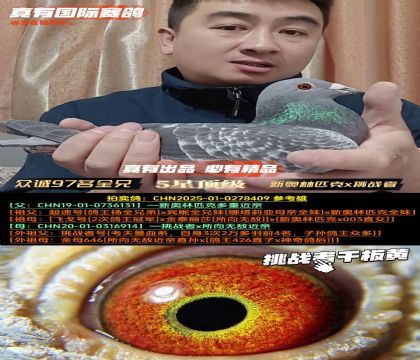 《众诚加站97名全兄弟》新奥林匹克x挑战者