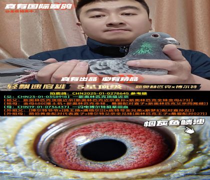 《轻飘速度雄》新奥林匹克x博尔特