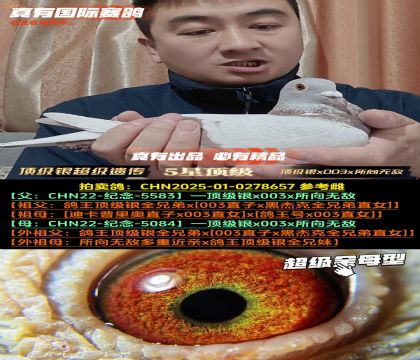 《顶级银近亲回血》顶级银x003x所向无敌