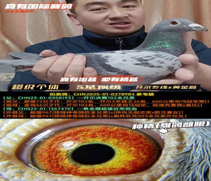 《超级个体》开尔专线x黄金雌近亲