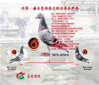 国家赛亚军之母