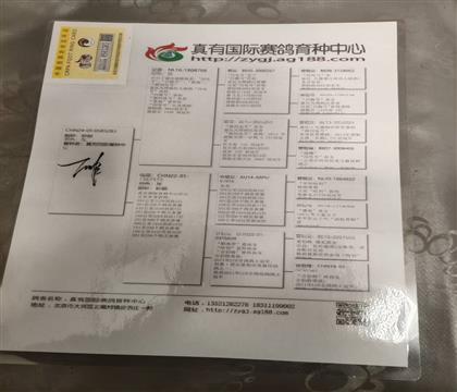 纸质血统书