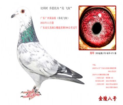 7,比利时 乔思托内“花 飞奴”