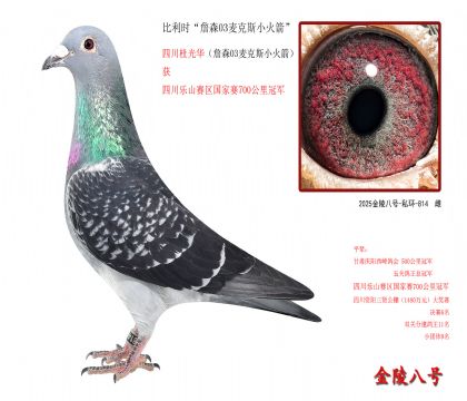 8,比利时“詹森03麦克斯小火箭”